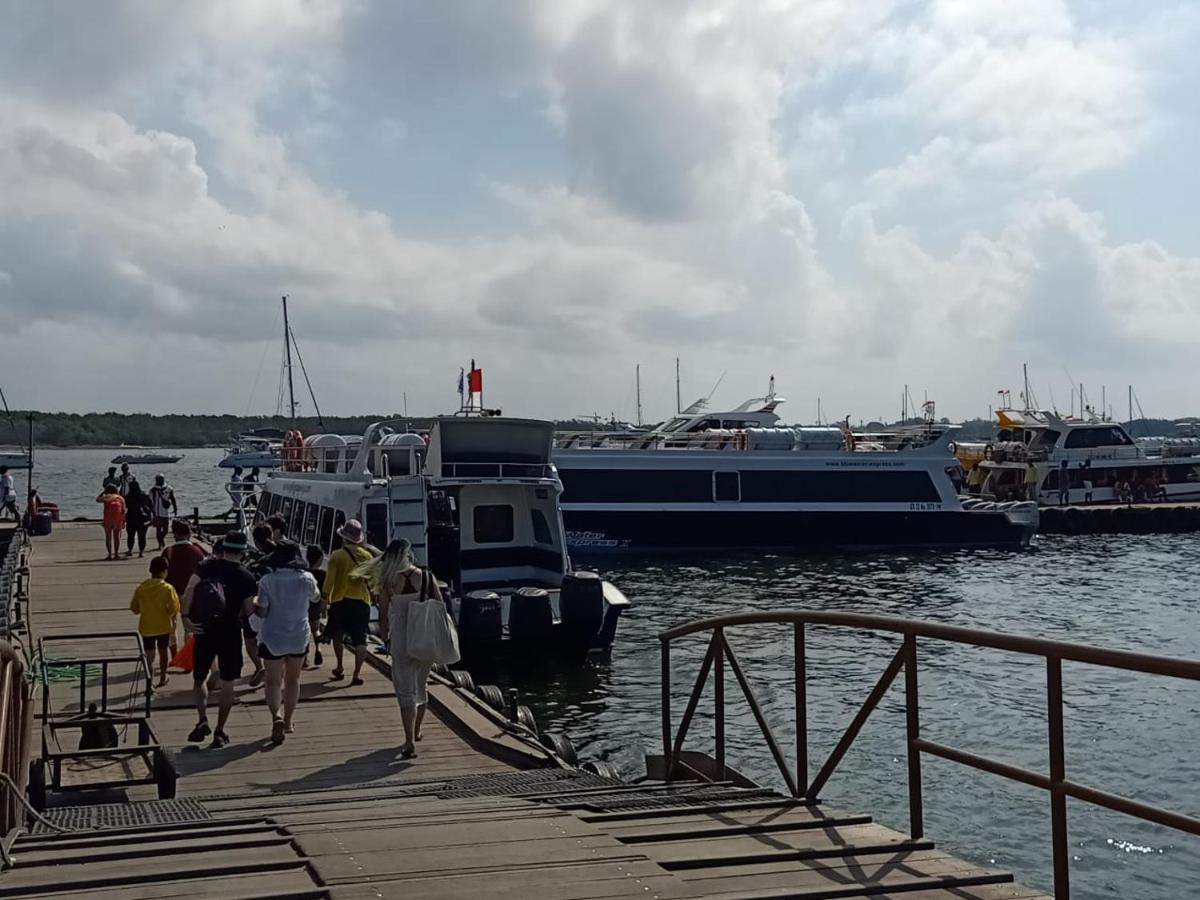 D&D Homestay Pesanggaran Kültér fotó